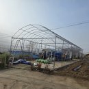 농암로(예안면) 이미지