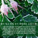 ☆ 24절기 중 첫눈이 내린다는 20번째 절기인 소설(小雪) 이미지