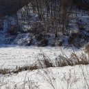 여주-1109 이미지