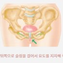 세느산부인과의원 이미지