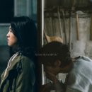 아가미 이미지