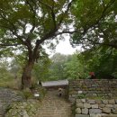 꼬부랑길 이미지