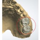 청담에이치치과의원 이미지