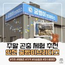 제일사슴농장 | 인천 굼벵이브라더스 곤충체험 후기｜사슴벌레&amp;곤충 체험+장수풍뎅이 애벌레 데려오기