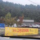 고흥유자석류축제 | &lt;일상&gt; 전남축제 -고흥유자축제 솔직후기