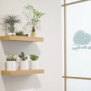 인 더 베이글(In the Bagel) 이미지