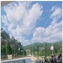 애견의숲 이미지