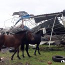 돌풍목장 이미지