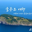 당나귀 여행사 이미지