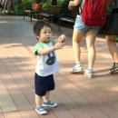 새라유치원 이미지