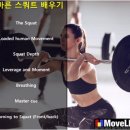 무브라이프짐 이미지