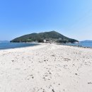 비진도 Daum카페