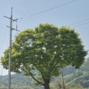 말목산 입구 이미지