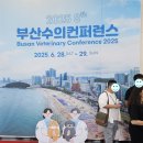 대웅동물병원 | [2025 부산수의컨퍼런스 참가 후기] 비쓰리이앤에스 동물용 고압산소치료기 전시