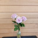 금강카페 이미지