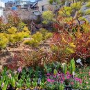 함안군산림조합
