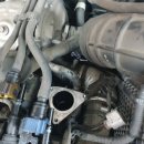 화니카센타 이미지