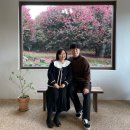 [제주2박3일] 임산부 태교여행 | 오가네전복설렁탕 | 동백포레스트 | 보내다제주 | 감귤체험농장...