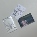 박지훈 리플렉트 RE:FLECT 비니 맥세이프 카드케이스 굿즈 구매후기