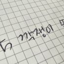 여우깍쟁이 이미지