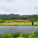 비고리조트 1 이미지