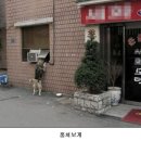 웃으면복이와요 이미지