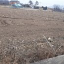 노은면사무소 이미지