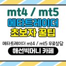 MT4/MT5 초보자 메타트레이더 100% 활용 방법😊 이미지