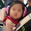 하이멍멍 - 청주시 청원구 구룡택지로 22 | 쿠팡 가성비 아기 소음방지 귀마개 추천, 5개월 아기 비행 사용후기, 주의사항 및 비행 팁