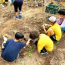 친환경나눔텃밭 이미지