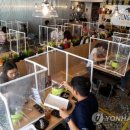 인형의 거리(말) 이미지