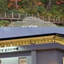 아정갤러리 이미지