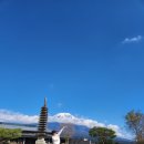 고원목장(2) | 일본 시즈오카 골프여행 4박5일 2일차｜아사기리 CC 후기 (후지산 뷰 미쳤음!)