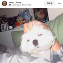 한일제면소 | 희옥 X KURUMU X 웅성 한일콜라보 11.06(木) 완탕쇼유라멘 다녀온 방구석내향인 후기.