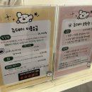 야옹아멍멍아밥먹자 | [수원 아이랑 가볼만한 곳] 수원동물카페 쥬데이｜유기동물과 교감하는 토끼카페 후기