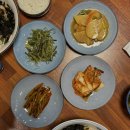 자연산회통영붕장어 이미지