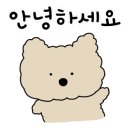 뉴아이뱅크 안경 이미지