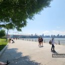 운동노리(NORI) 이미지