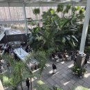 파주드라이브 | [문지리 535] 대형카페 후기｜파주 드라이브 코스로 가기 좋았던 곳 (데이트코스, 나들이)