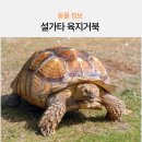 육지 이미지