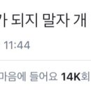 불행에 맞서는 가장 멋진 방법 이미지