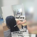 헤어스티지