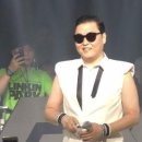 강남스타일 - 서귀포시 표선중앙로90번길 9-1 | 강남스타일