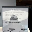 광양의 아트 뉴 웨이브 | 성수 블루엘리펀트 플래그십 스토어 후기｜아이웨어부터 카페까지, 인테리어 미쳤다