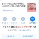 초보식집사 에버랜드 에버로즈 레몬버블 장미 도착 후기