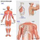 포엠핏 장덕점 이미지
