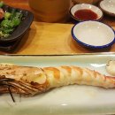 작은 섬소년 이미지