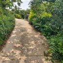 고정리마을회관 이미지