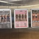 헬스보이짐&필라걸 수내점 이미지