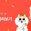 오션 캣 이미지